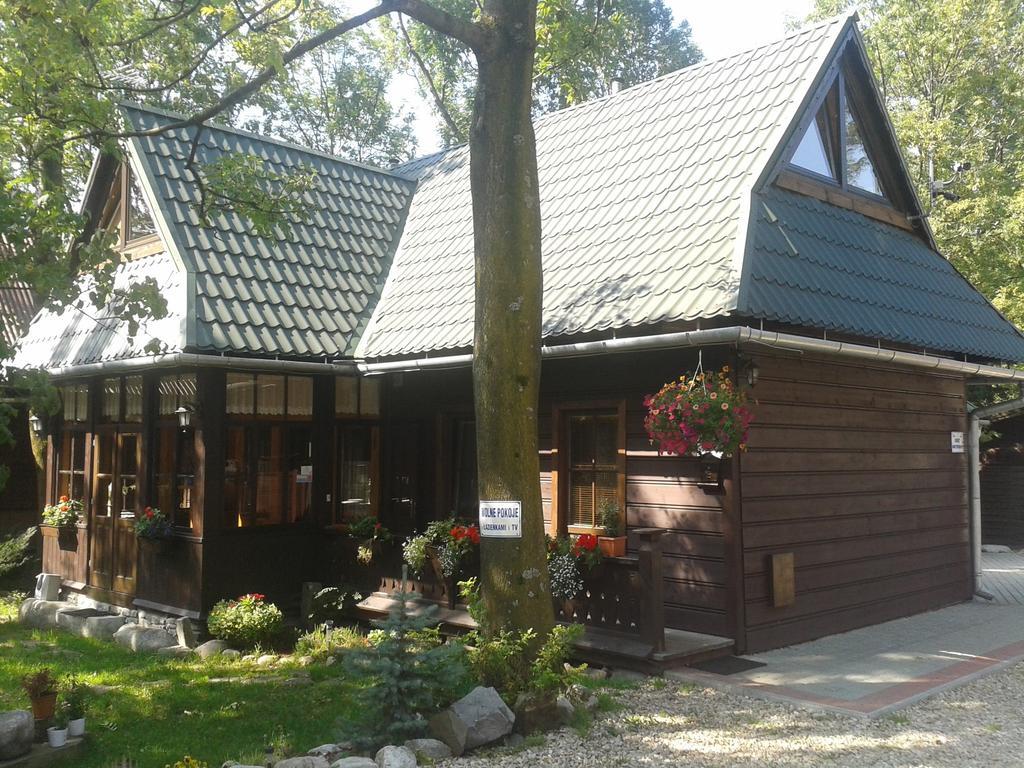 Pokoje Goscinne Za Wnukiem Zakopane Exterior photo